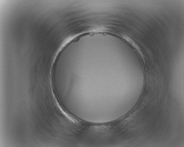 X0000060571429200511171620