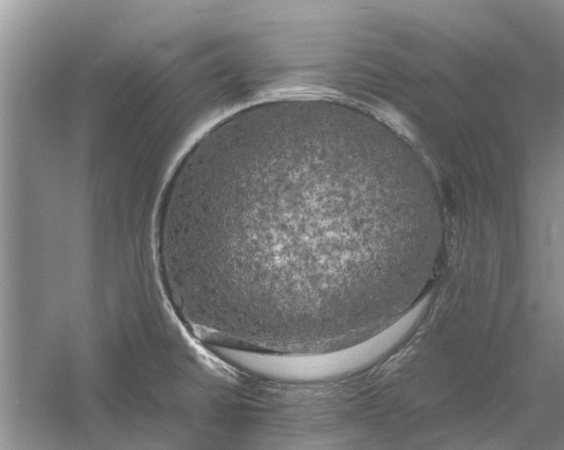 X0000060571430200511171620