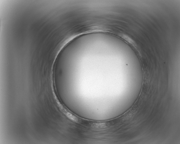 X0000060571431200511171620