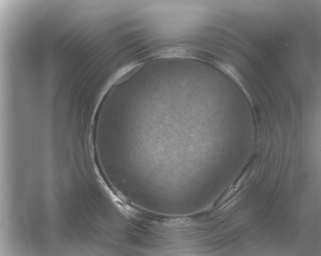 X0000060571434200511171620