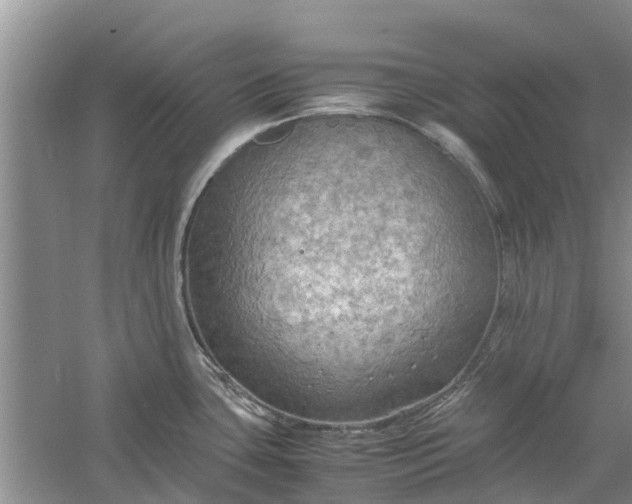 X0000060571435200511171620