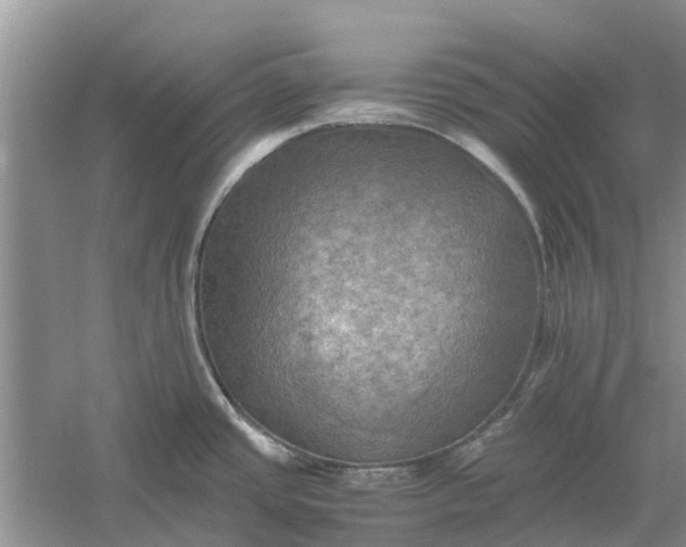 X0000060571437200511171620