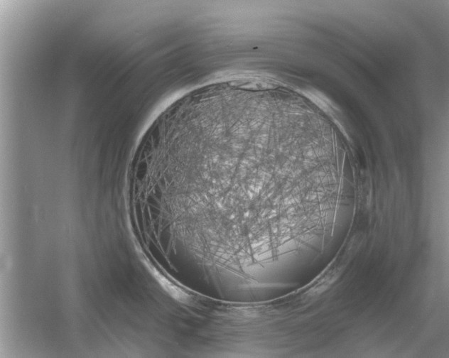 X0000060571438200511171620