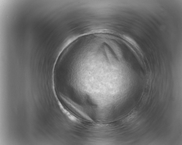 X0000060571439200511171620