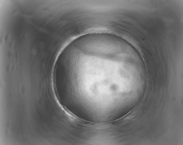 X0000060571440200511171620