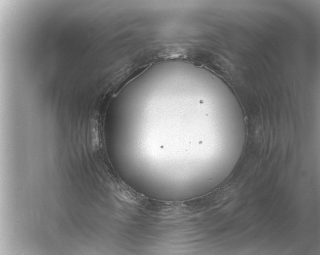 X0000060571442200511171619