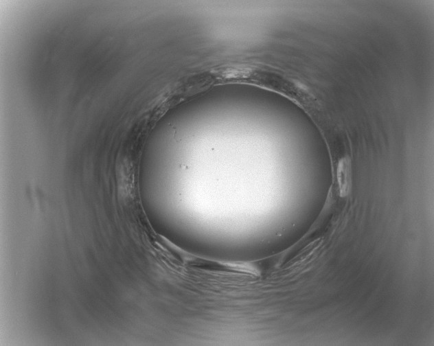 X0000060571443200511171619