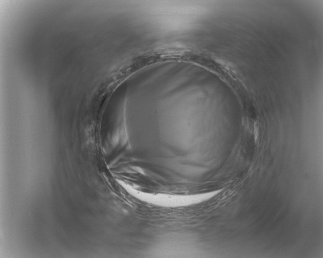 X0000060571445200511171619