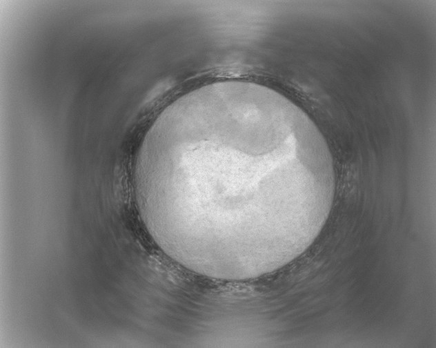 X0000060571446200511171619