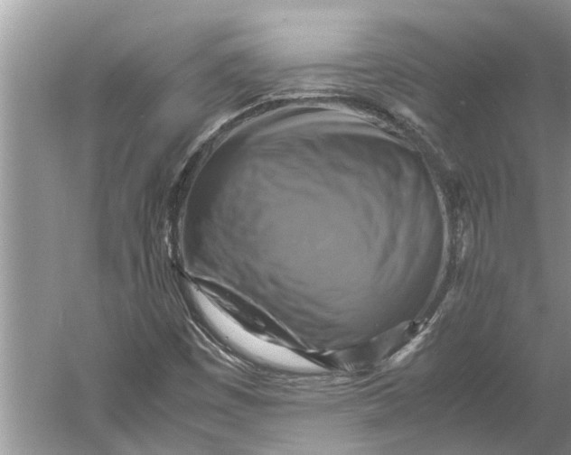 X0000060571449200511171619