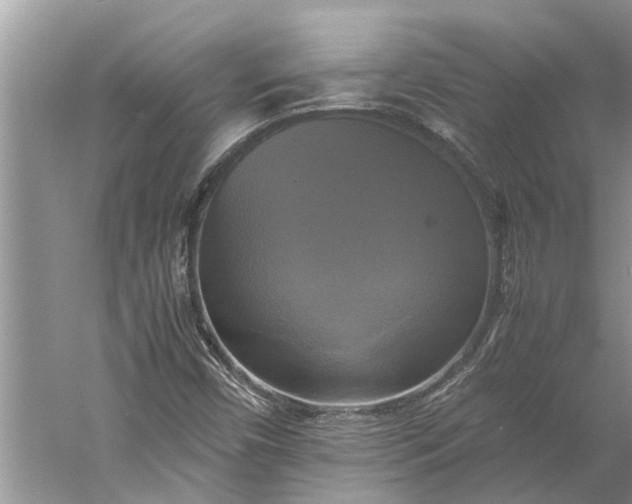 X0000060571450200511171619