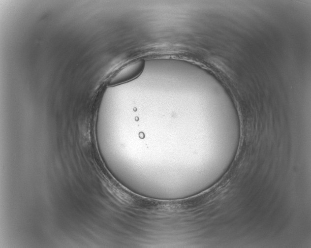 X0000060571451200511171619