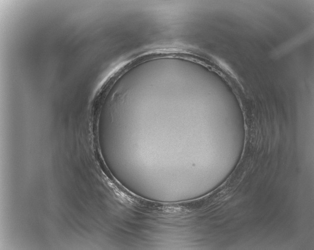 X0000060571456200511171619