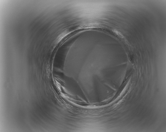 X0000060571457200511171619