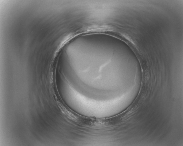 X0000060571459200511171619