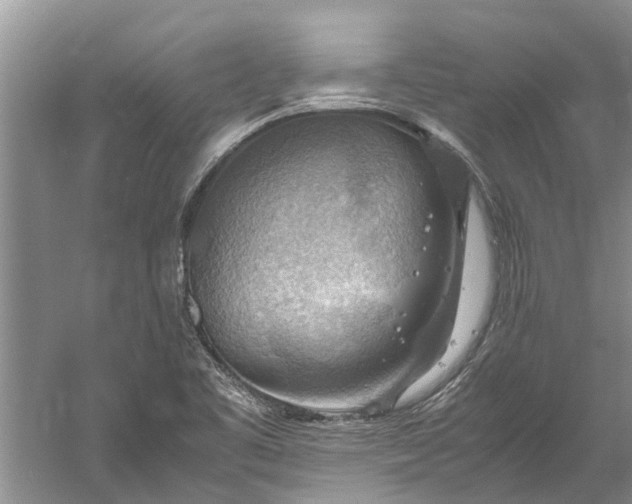 X0000060571461200511171619