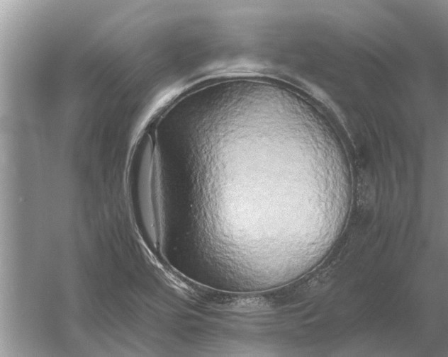 X0000060571464200511171619