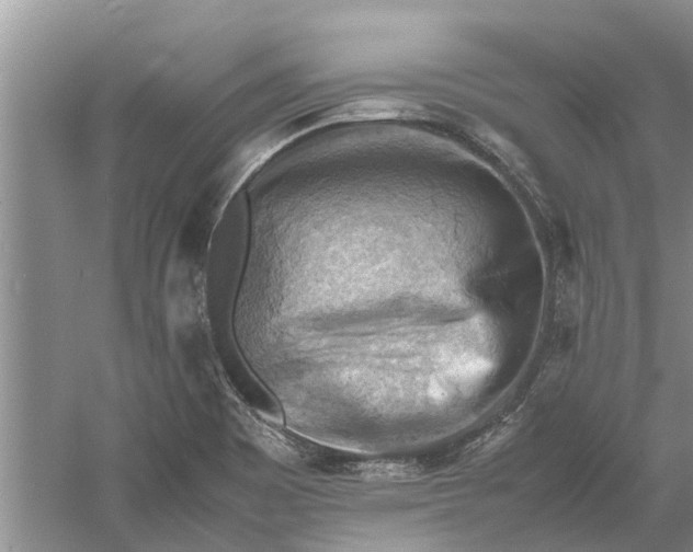 X0000060571465200511171619