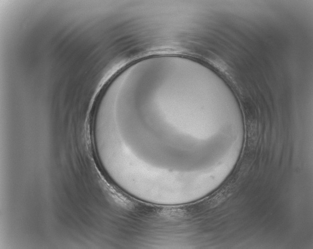 X0000060571466200511171619