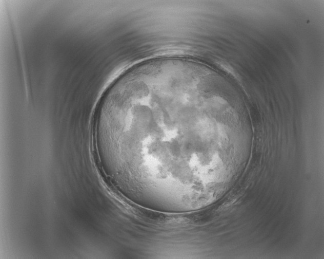 X0000060571467200511171619