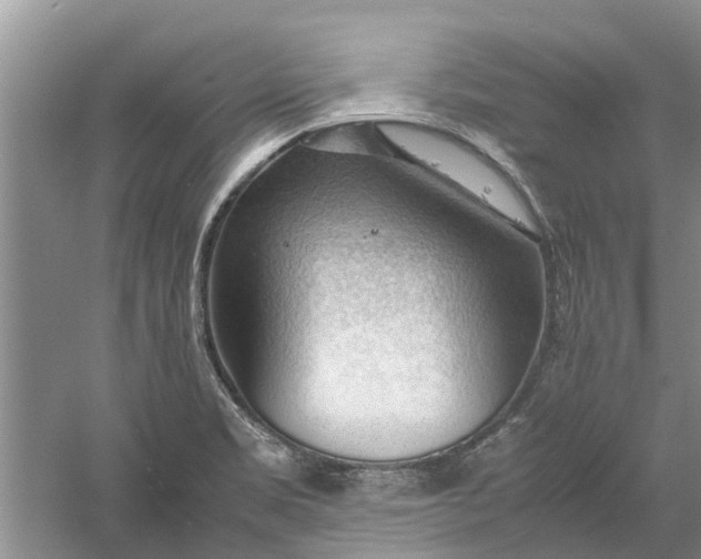 X0000060571469200511171619