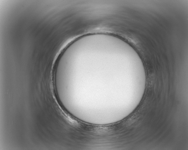 X0000060571470200511171618