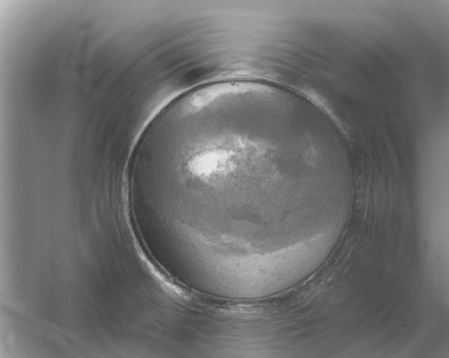 X0000060571476200511171618