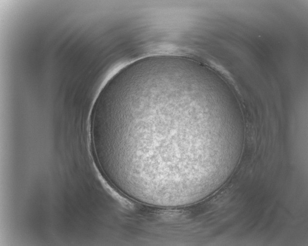 X0000060571479200511171618