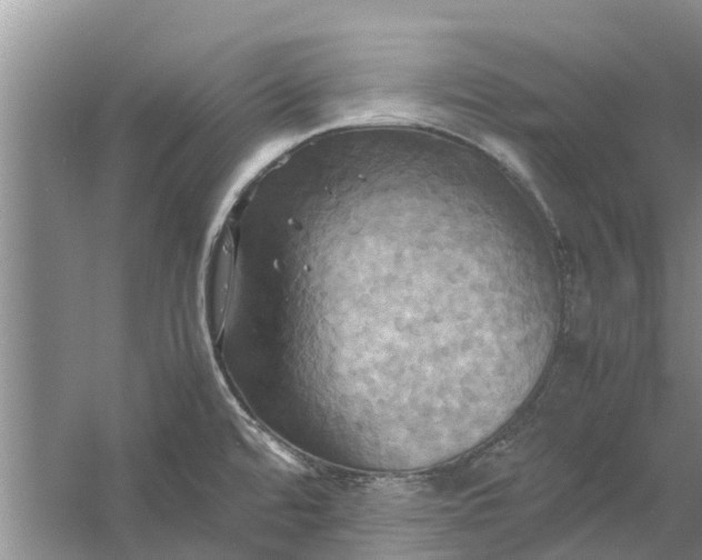 X0000060571480200511171618