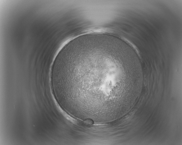 X0000060571483200511171618