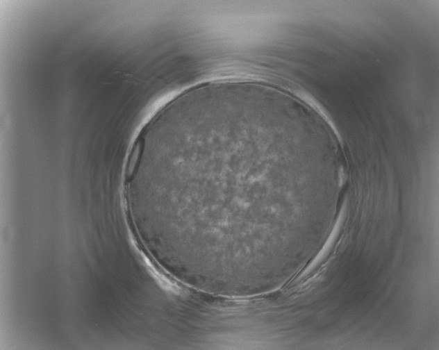 X0000060571485200511171618