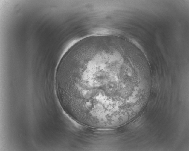 X0000060571487200511171618