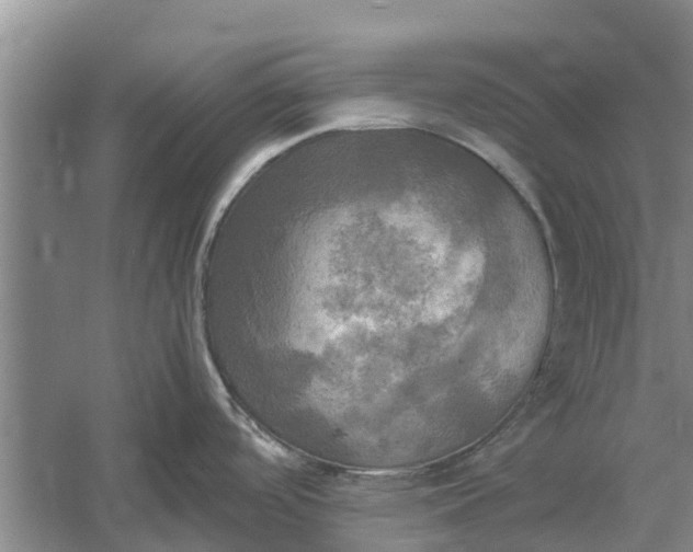 X0000060571488200511171618