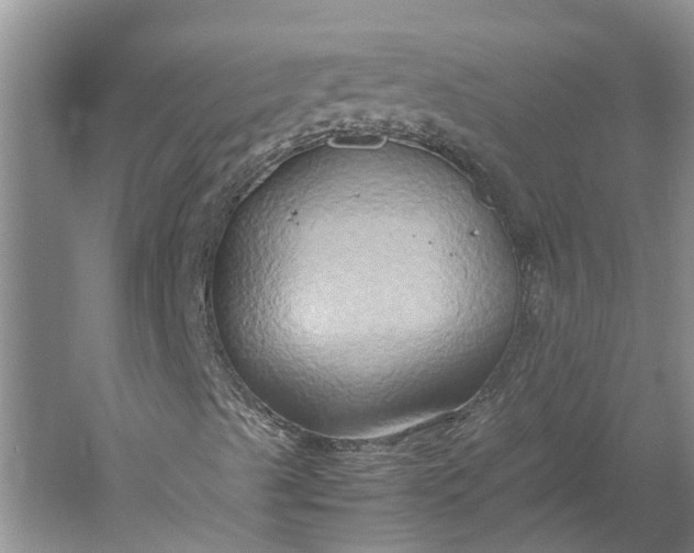 X0000060571489200511171617