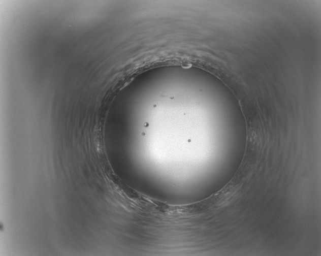 X0000060571490200511171617