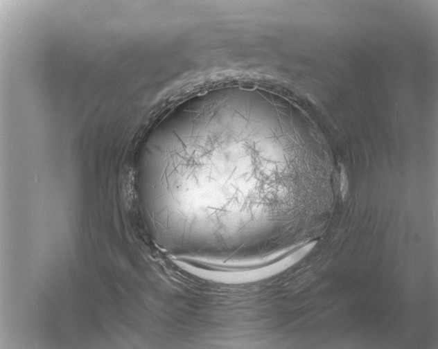 X0000060571492200511171617