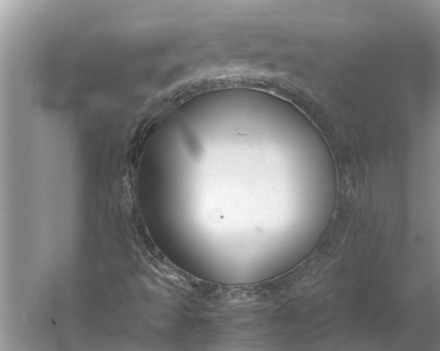 X0000060571493200511171617