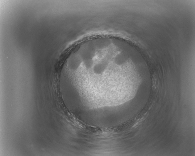 X0000060571494200511171617