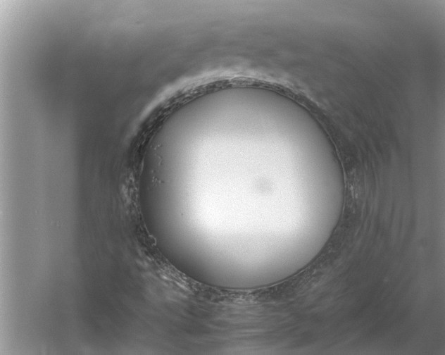 X0000060571495200511171617