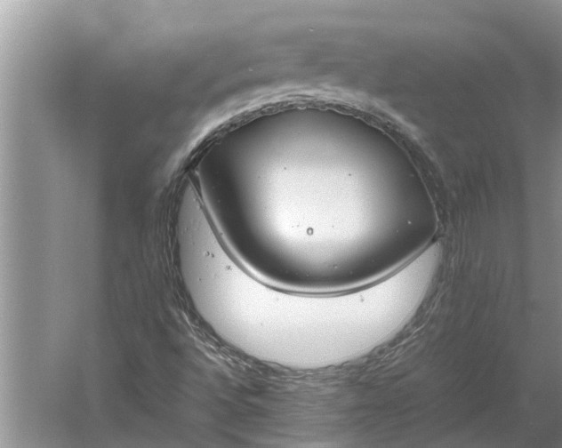 X0000060571496200511171617