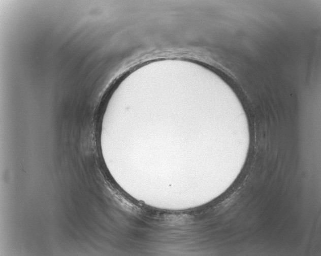 X0000060571498200511171618