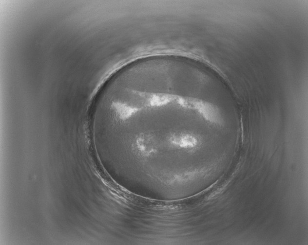 X0000060571501200511171618