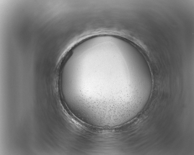 X0000060571504200511171618