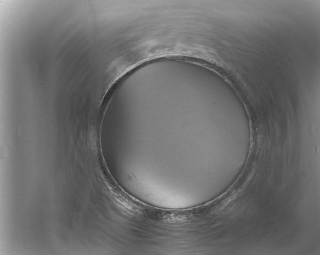 X0000060571505200511171618