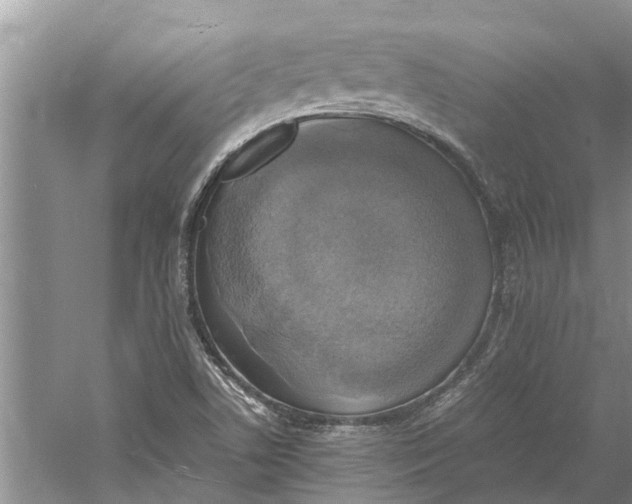 X0000060571506200511171618