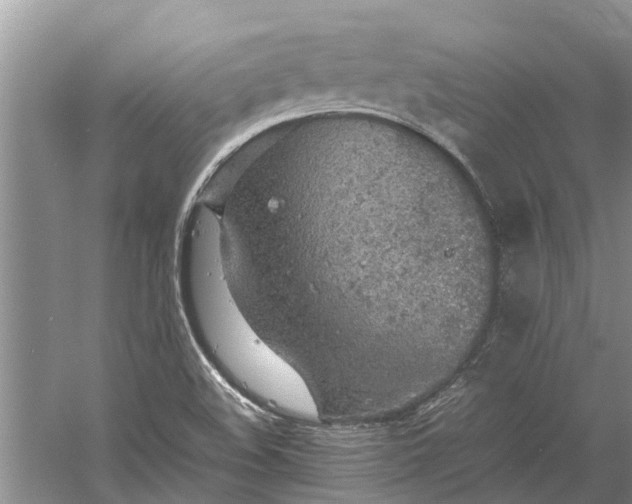 X0000060571508200511171618