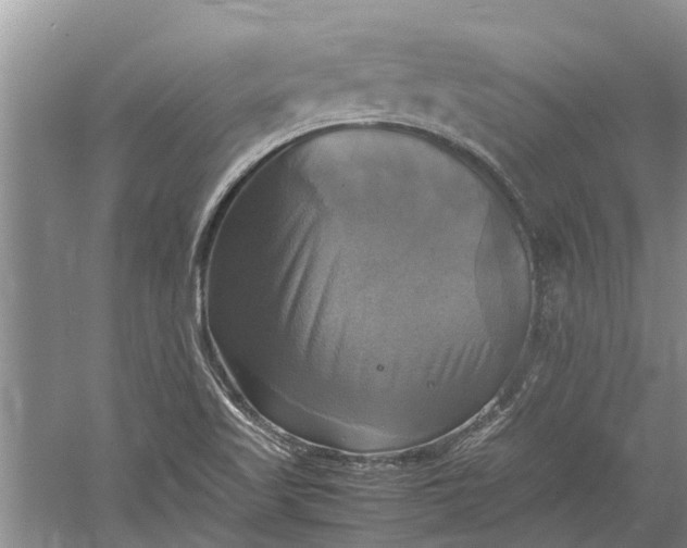 X0000060571509200511171618