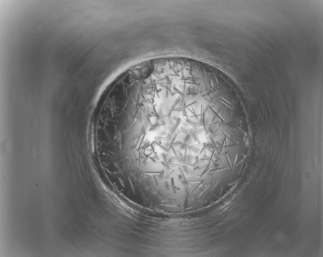 X0000060571510200511171618