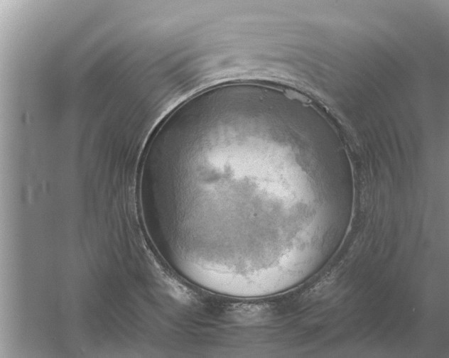 X0000060571513200511171618