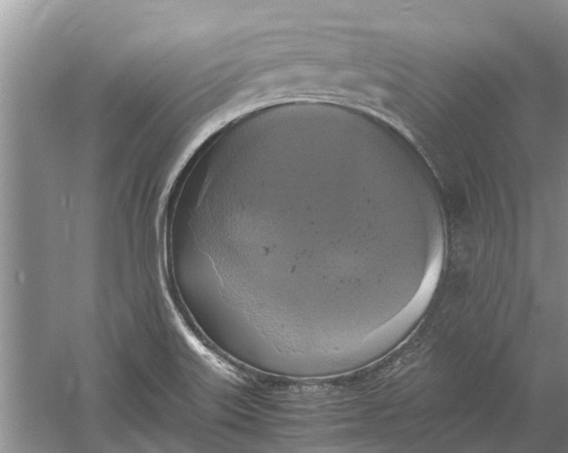 X0000060571515200511171618